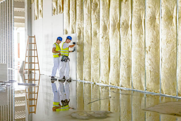 Best Eco-Friendly Insulation in Inola, OK